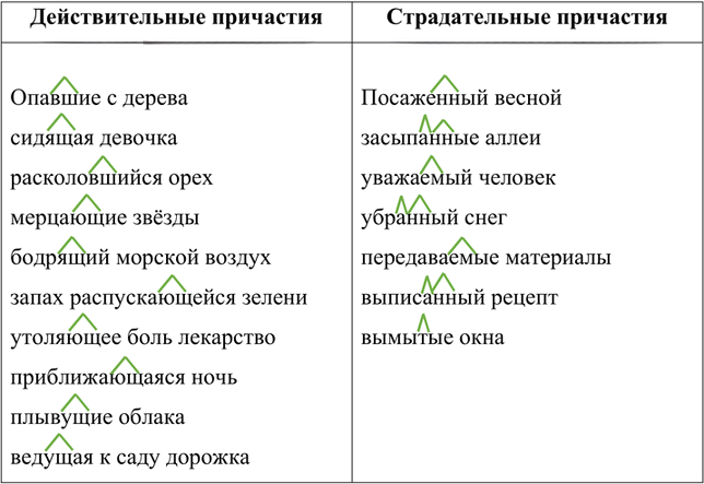 Иллюстрация к решению «Упр.71 ГДЗ Рыбченкова Александрова 7 класс (Русский язык)», 4
