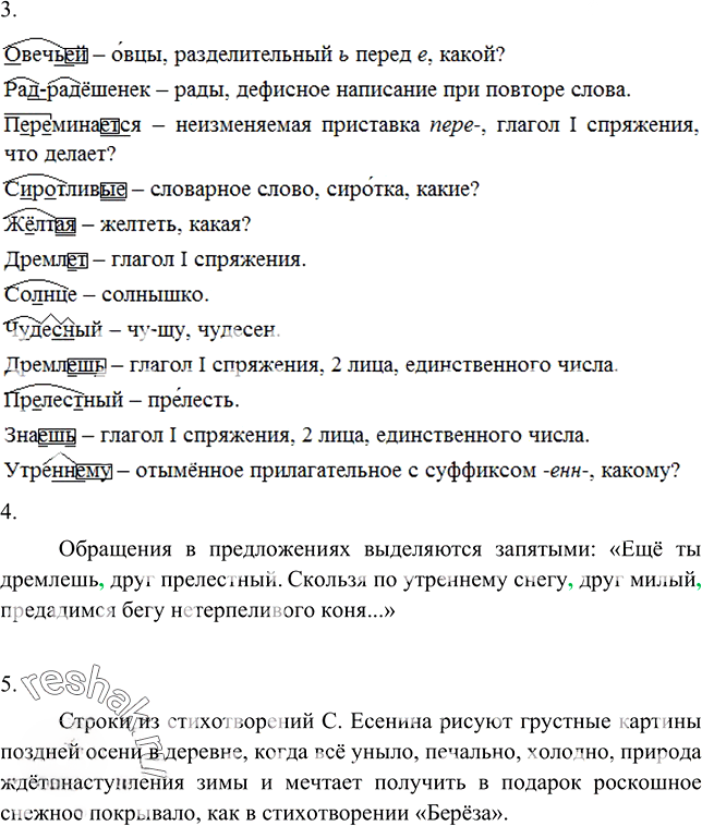 Иллюстрация к решению «Упр.338 ГДЗ Разумовская Львова 6 класс (Русский язык)», 6
