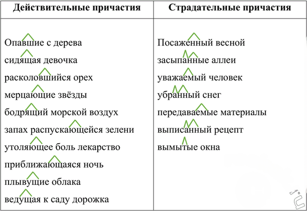 Иллюстрация к решению «Упр.142 Часть 1 ГДЗ Рыбченкова Александрова 7 класс (2026) (Русский язык)», 1
