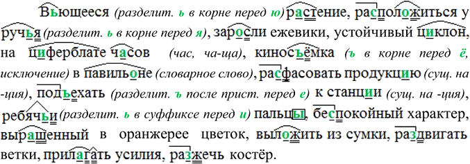 Иллюстрация к решению «Упр.30 ГДЗ Ладыженская Баранов 6 класс (Русский язык)», 5