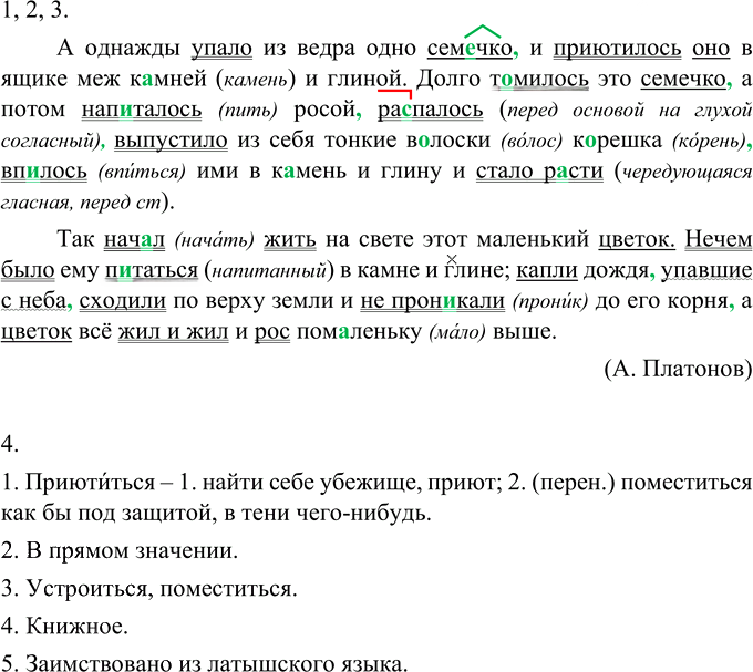 Иллюстрация к решению «Упр.490 ГДЗ Разумовская Львова 6 класс (Русский язык)», 1