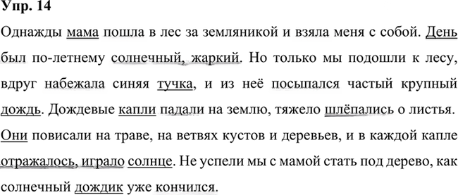 Иллюстрация к решению «Упр.14 Часть 1 ГДЗ Быстрова Кибирева 6 класс (Русский язык)», 1