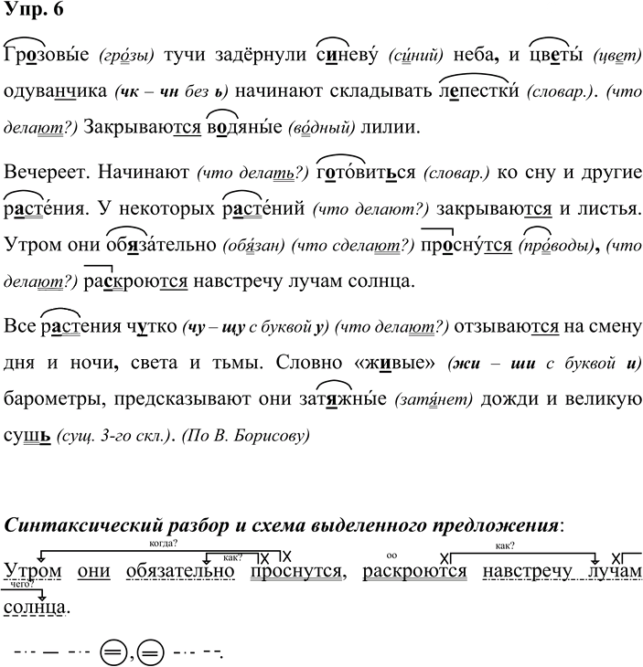 Иллюстрация к решению «Упр.6 Страницы 142-145 ГДЗ Дидактические материалы Ладыженская Аксенова 5 класс (Русский язык)», 1