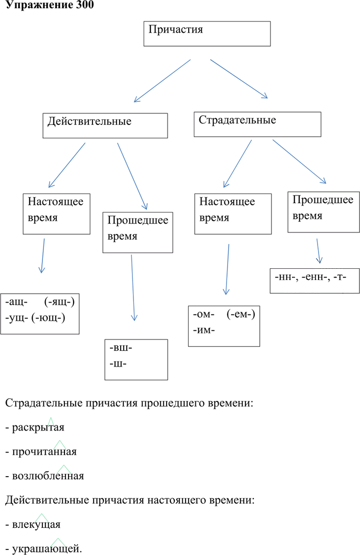 Иллюстрация к решению «Упр.300 Часть 1 ГДЗ Гольцова 10-11 класс (Русский язык)», 1