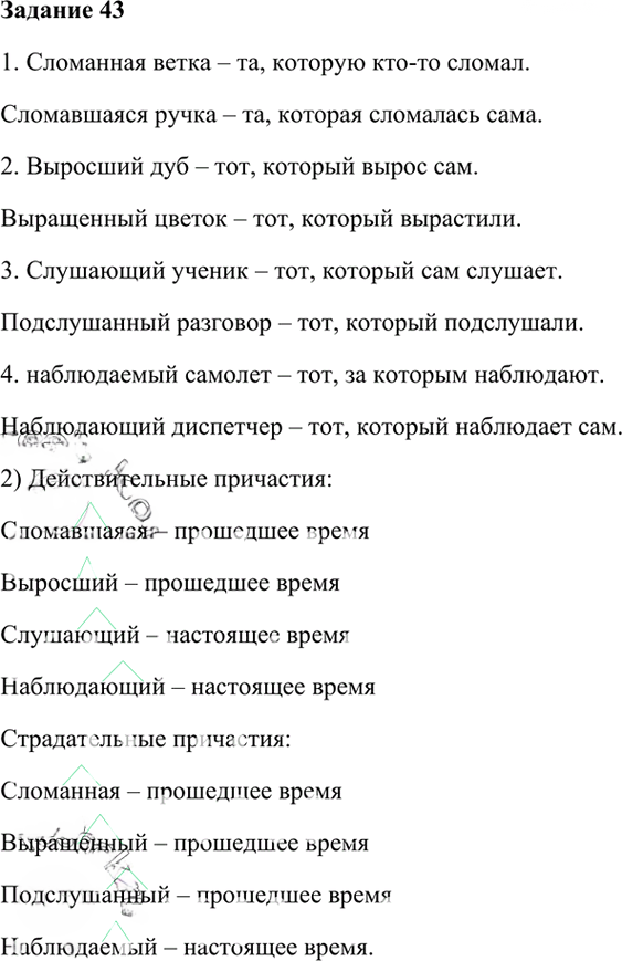Иллюстрация к решению «Упр.43 Глава 5 ГДЗ Шмелев 6 класс (Русский язык)», 1