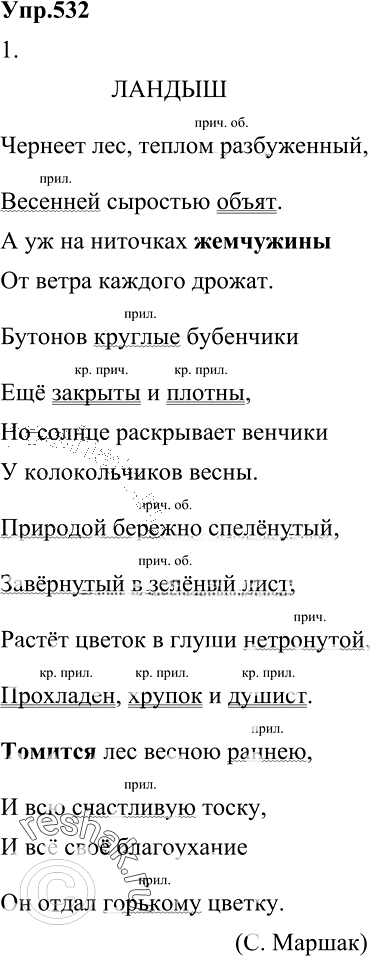 Иллюстрация к решению «Упр.532 ГДЗ Разумовская Львова 6 класс (Русский язык)», 3