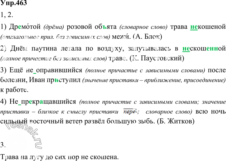 Иллюстрация к решению «Упр.463 ГДЗ Разумовская Львова 6 класс (Русский язык)», 3