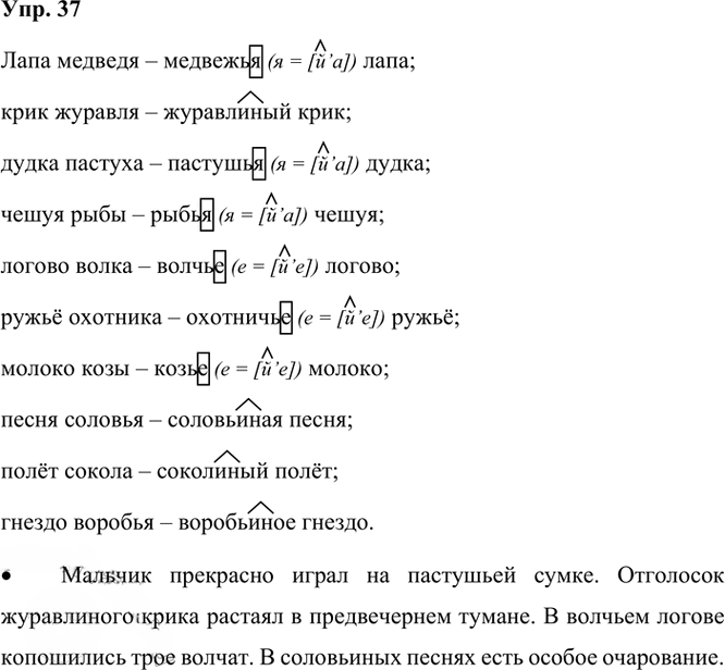 Иллюстрация к решению «Упр.37 Часть 2 ГДЗ Рыбченкова Александрова 6 класс 2023 года (Русский язык)», 1