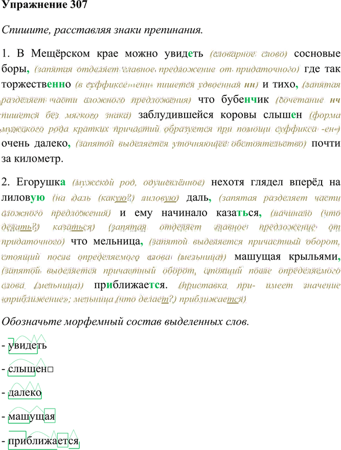 Иллюстрация к решению «Упр.307 ГДЗ Греков Крючков 10-11 класс (Русский язык)», 2