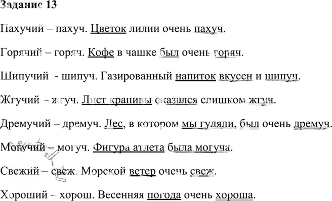 Иллюстрация к решению «Упр.13 Глава 5 ГДЗ Шмелев 6 класс (Русский язык)», 1