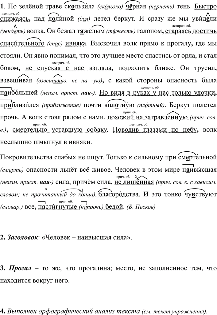 Иллюстрация к решению «Упр.295 ГДЗ Разумовская Львова 7 класс (Русский язык)», 3