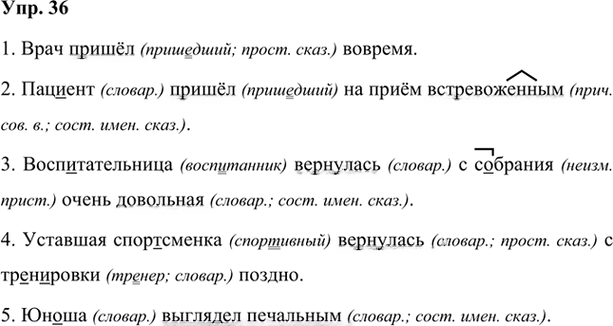 Иллюстрация к решению «Упр.36 Глава 6 ГДЗ Шмелев 7 класс (Русский язык)», 1