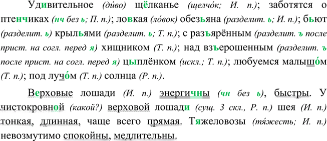 Иллюстрация к решению «Упр.646 ГДЗ Ладыженская Баранов 5 класс (Русский язык)», 4