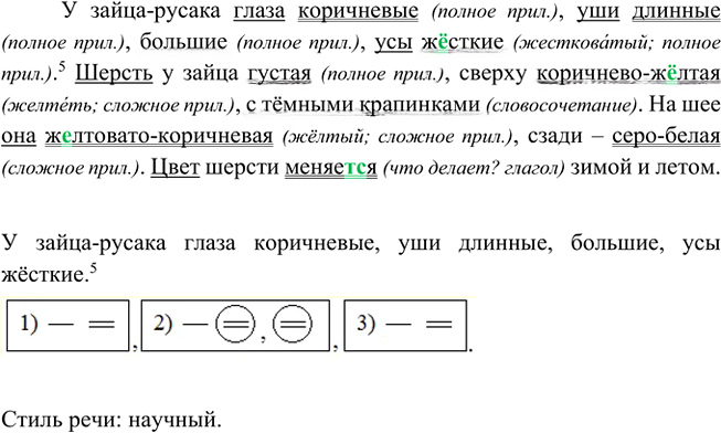 Иллюстрация к решению «Упр.635 ГДЗ Ладыженская Баранов 5 класс (Русский язык)», 3