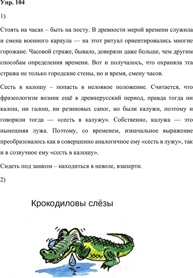 Иллюстрация к решению «Упр.104 Глава 2 ГДЗ Шмелев 7 класс (Русский язык)», 1