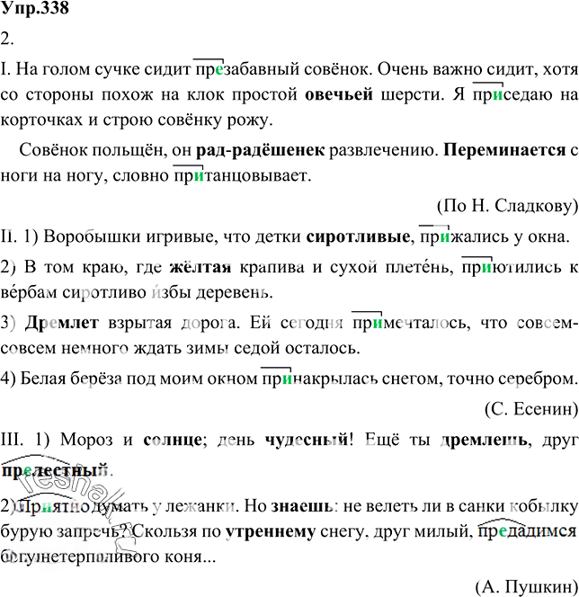 Иллюстрация к решению «Упр.338 ГДЗ Разумовская Львова 6 класс (Русский язык)», 5
