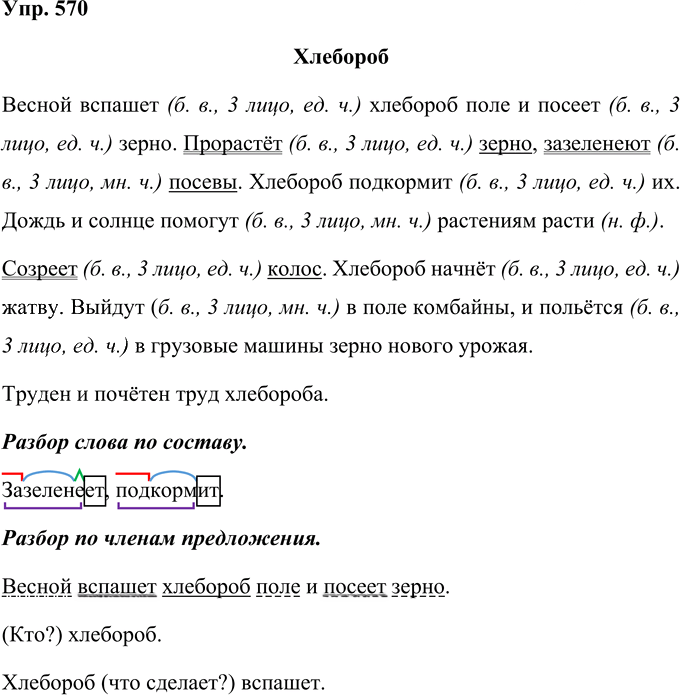 Иллюстрация к решению «Упр.570 Часть 2 ГДЗ Рамзаева 4 класс (Русский язык)», 1