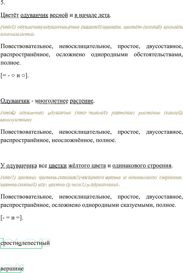 Иллюстрация к решению «Упр.36 Часть 1 ГДЗ Быстрова Кибирева 6 класс (Русский язык)», 2