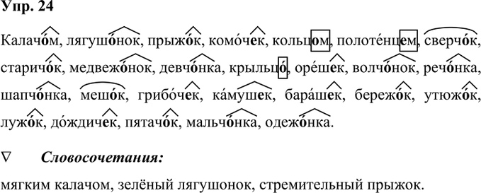 Иллюстрация к решению «Упр.24 Часть 2 ГДЗ Рабочая тетрадь Ладыженская Ляшенко 5 класс (Русский язык)», 1