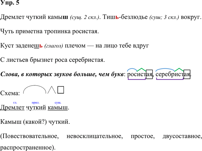 Иллюстрация к решению «Упр.5 Проверочные работы Глава 2 Часть 1 ГДЗ Желтовская Калинина 4 класс (Русский язык)», 1