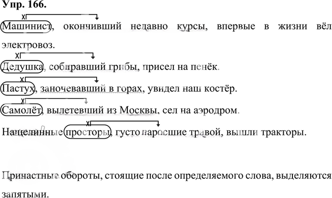 Иллюстрация к решению «Упр.166 Часть 1 ГДЗ Быстрова Кибирева 7 класс (Русский язык)», 1
