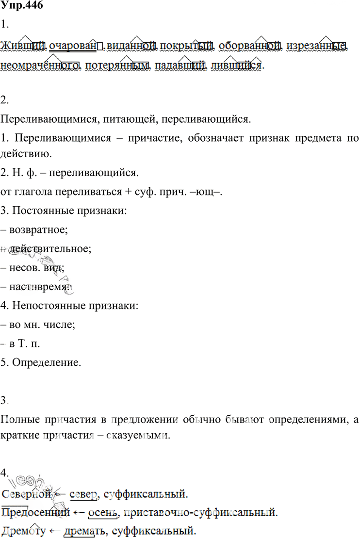 Иллюстрация к решению «Упр.446 ГДЗ Разумовская Львова 6 класс (Русский язык)», 5