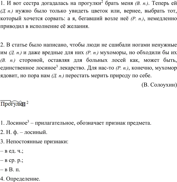 Иллюстрация к решению «Упр.114 ГДЗ Ладыженская Баранов 5 класс (Русский язык)», 3
