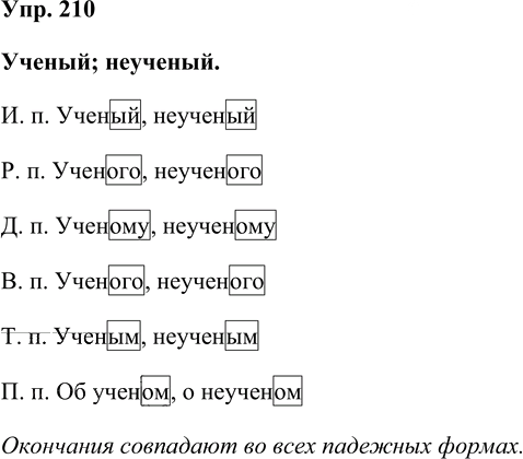 Иллюстрация к решению «Упр.210 Часть 1 ГДЗ Нечаева Яковлева 4 класс (Русский язык)», 1
