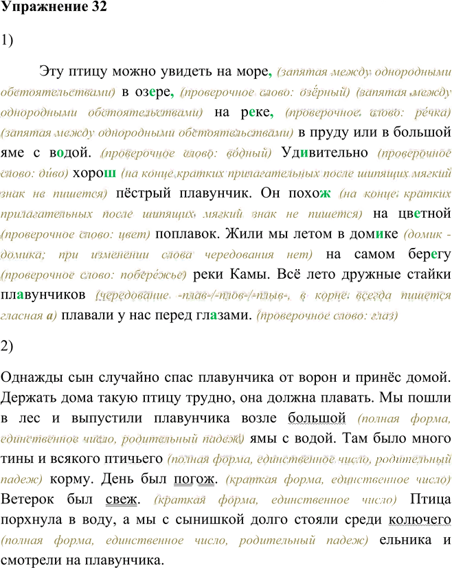 Иллюстрация к решению «Упр.32 Глава 7 ГДЗ Шмелев 5 класс (Русский язык)», 1