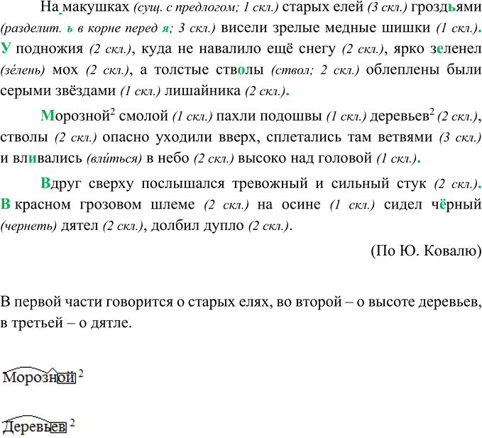 Иллюстрация к решению «Упр.101 ГДЗ Ладыженская Баранов 5 класс (Русский язык)», 3