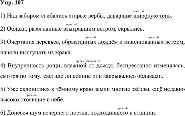 Иллюстрация к решению «Упр.107 Часть 2 ГДЗ Быстрова Кибирева 8 класс (Русский язык)», 1