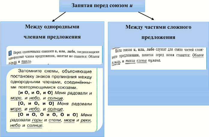 Иллюстрация к решению «Упр.203 Часть 2 ГДЗ Рыбченкова Александрова 7 класс (2026) (Русский язык)», 1