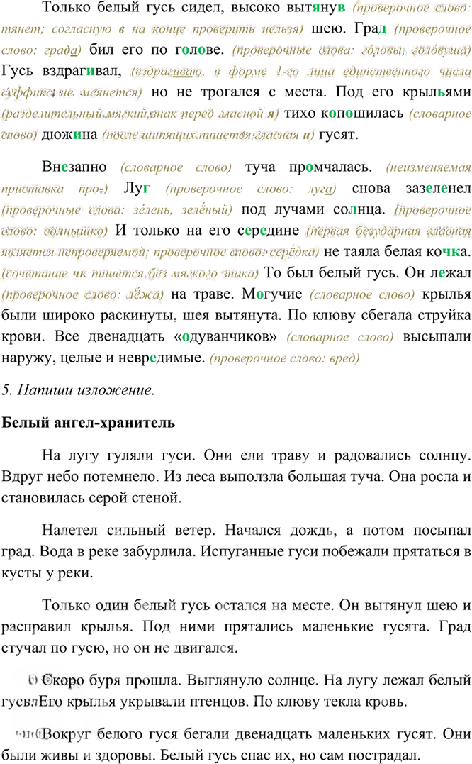 Иллюстрация к решению «Упр.106 Часть 1 ГДЗ Рамзаева 4 класс (Русский язык)», 4