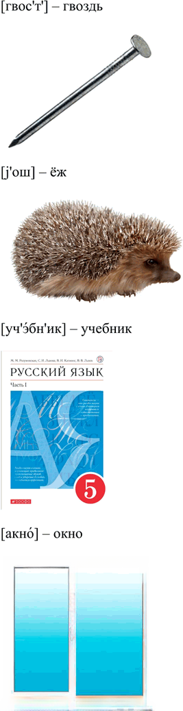 Иллюстрация к решению «Упр.195 Часть 1 ГДЗ Разумовская Львова 5 класс (Русский язык)», 4