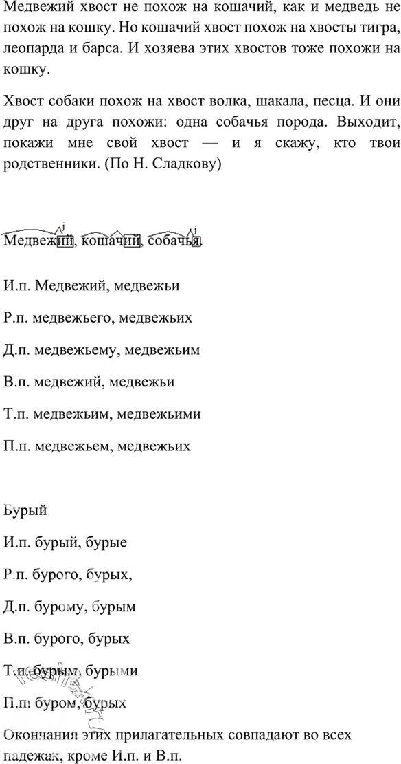 Иллюстрация к решению «Упр.321 ГДЗ Рыбченкова Александрова 6 класс (Русский язык)», 5