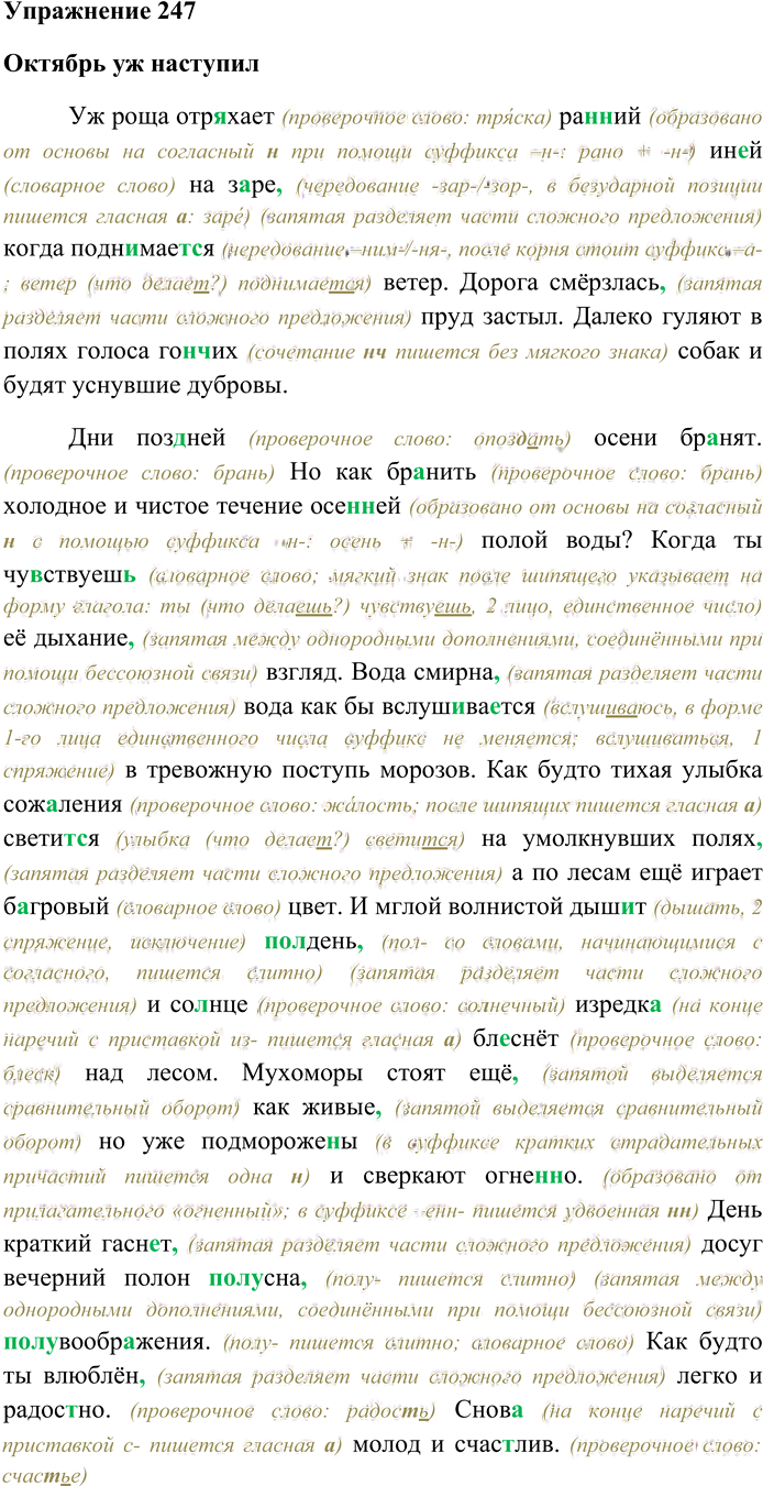 Иллюстрация к решению «Упр.247 ГДЗ Гусарова 10 класс (Русский язык)», 1