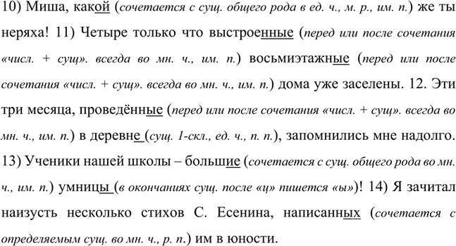 Иллюстрация к решению «Упр.238 Часть 1 ГДЗ Быстрова Кибирева 8 класс (Русский язык)», 2