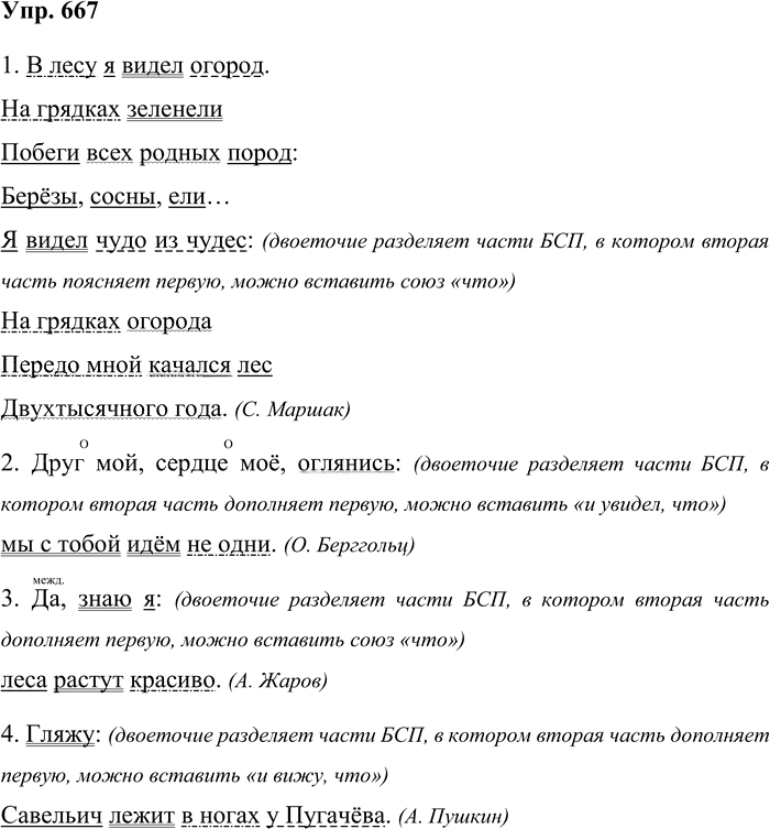 Иллюстрация к решению «Упр.667 ГДЗ Бабайцева 10-11 класс (Русский язык)», 1