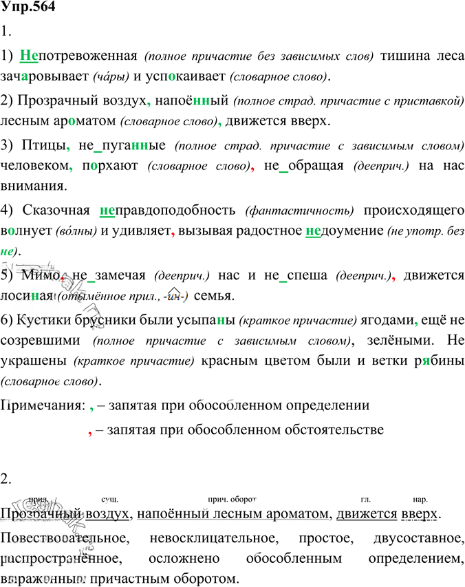 Иллюстрация к решению «Упр.564 ГДЗ Разумовская Львова 6 класс (Русский язык)», 3