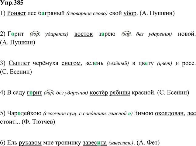 Иллюстрация к решению «Упр.385 Часть 1 ГДЗ Быстрова Кибирева 5 класс (Русский язык)», 1