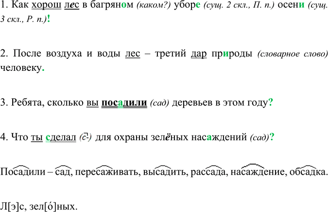 Иллюстрация к решению «Упр.64 ГДЗ Ладыженская Баранов 6 класс (Русский язык)», 1