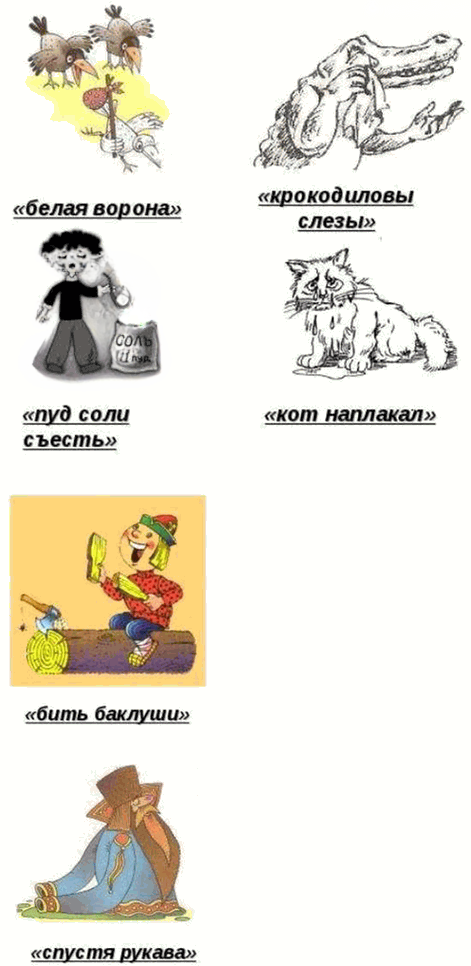 Иллюстрация к решению «Упр.104 Глава 2 ГДЗ Шмелев 7 класс (Русский язык)», 2