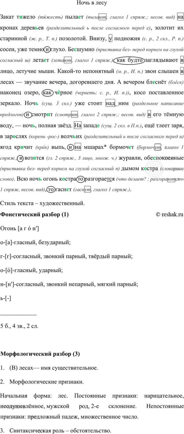 Иллюстрация к решению «Упр.31 ГДЗ Ладыженская Баранов 6 класс (Русский язык)», 6