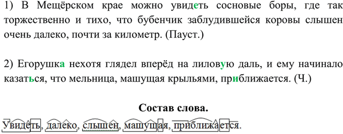 Иллюстрация к решению «Упр.307 ГДЗ Греков Крючков 10-11 класс (Русский язык)», 1