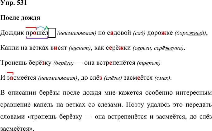 Иллюстрация к решению «Упр.531 Часть 2 ГДЗ Рамзаева 4 класс (Русский язык)», 1