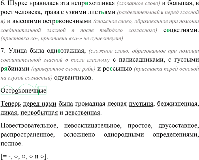 Иллюстрация к решению «Упр.162 Глава 3 ГДЗ Шмелев 6 класс (Русский язык)», 2