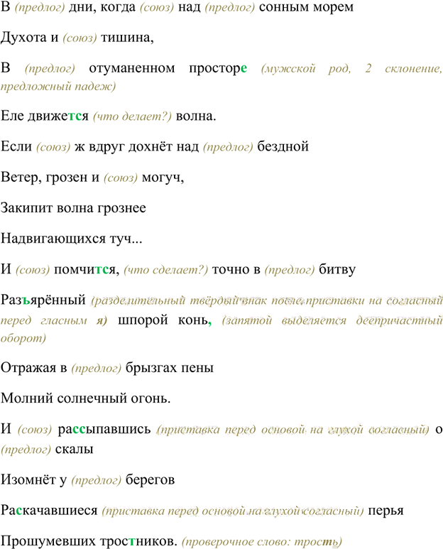 Иллюстрация к решению «Упр.339 ГДЗ Ладыженская 7 класс (Русский язык)», 5