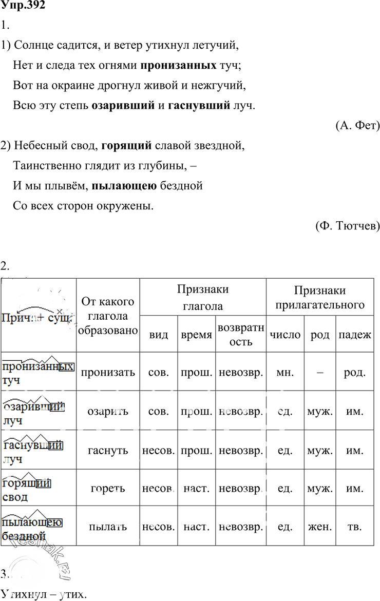 Иллюстрация к решению «Упр.392 ГДЗ Разумовская Львова 6 класс (Русский язык)», 3